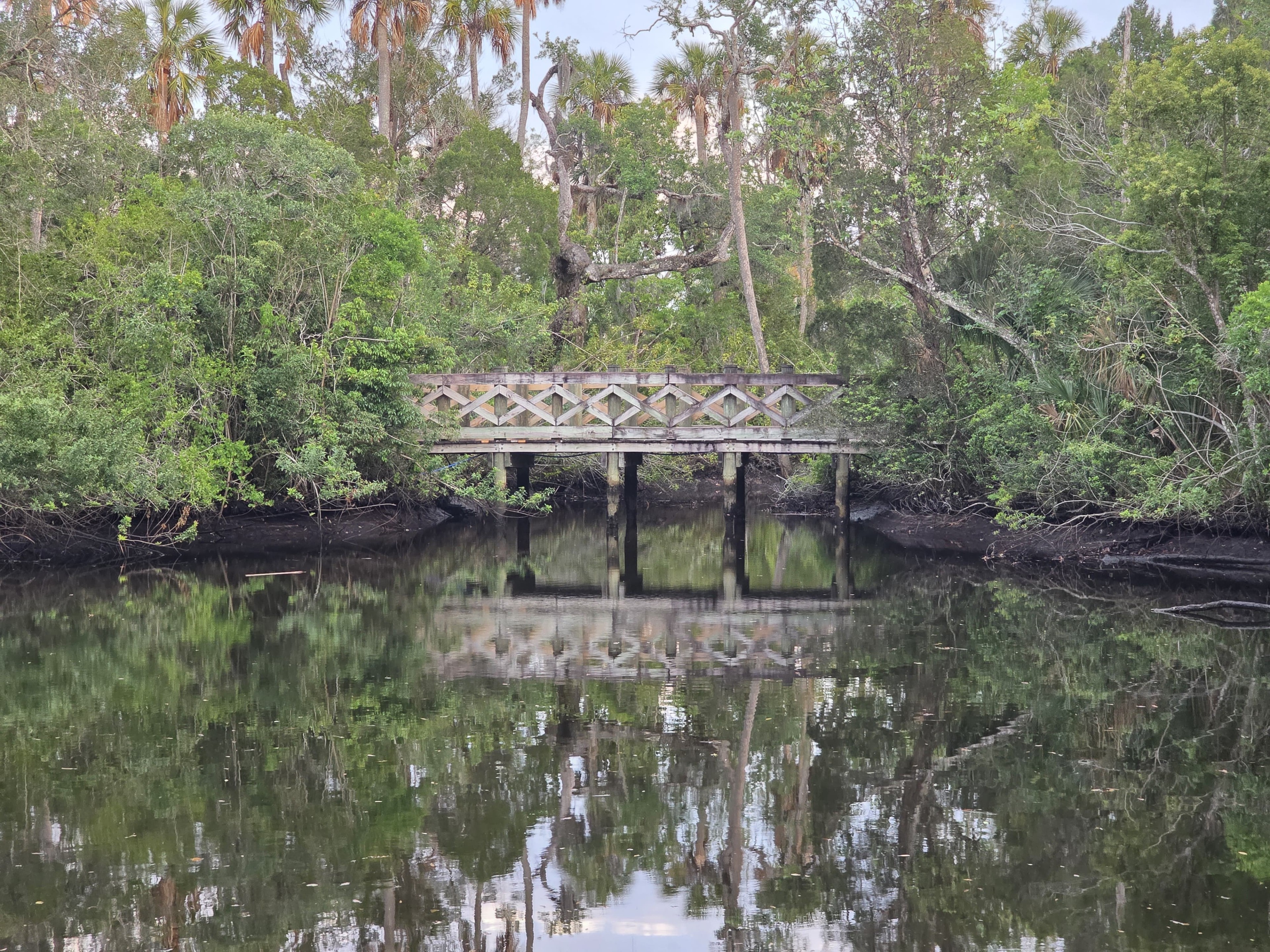 Bridge