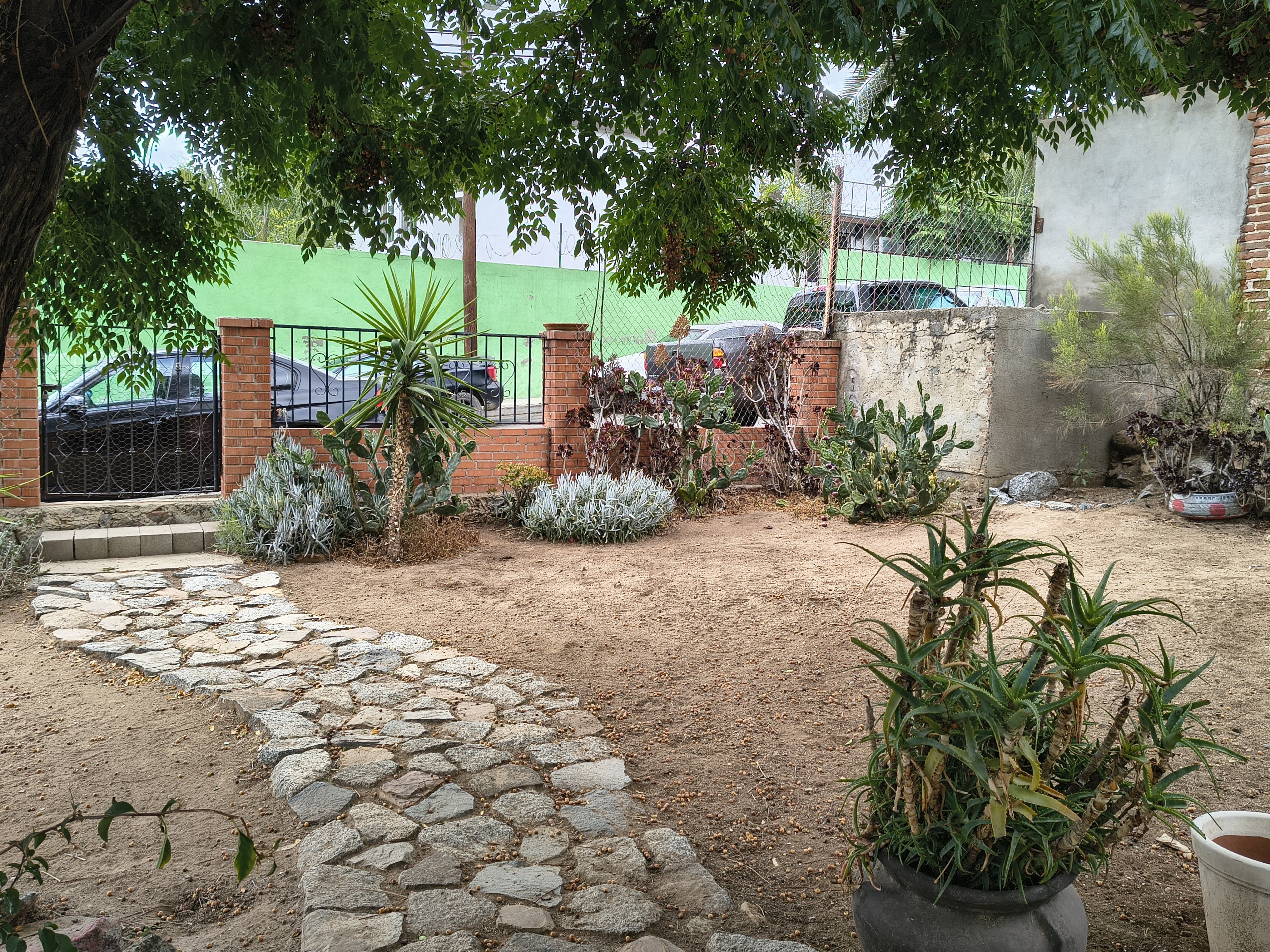 Mexico house yard